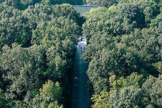  美财长贝森特放话护航霍尔木兹；条件具备即行动，国际协作成选项。 新闻