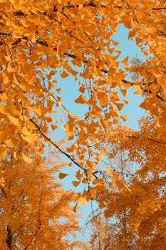  苹果公司在中国应用商店佣金政策迎来重大优化，标准佣金率降至25%，优惠计划低至12%；源于监管对话的成果，彰显平台对本土生态的重视与责任担当，有望进一步激发开发者活力，推动移动应用市场向更公平、更繁荣的方向迈进。 IT技术 苹果公司在中国应用商店佣金政策迎来重大优化，标准佣金率降至25%，优惠计划低至12%；源于监管对话的成果，彰显平台对本土生态的重视与责任担当，有望进一步激发开发者活力，推动移动应用市场向更公平、更繁荣的方向迈进。 IT技术