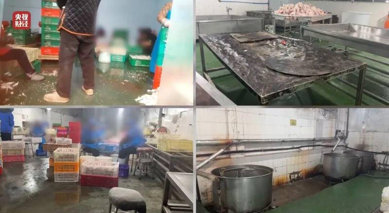  央视3·15晚会直击黑心加工。漂白鸡爪车间脏乱不堪。双氧水违规浸泡危害健康。 新闻