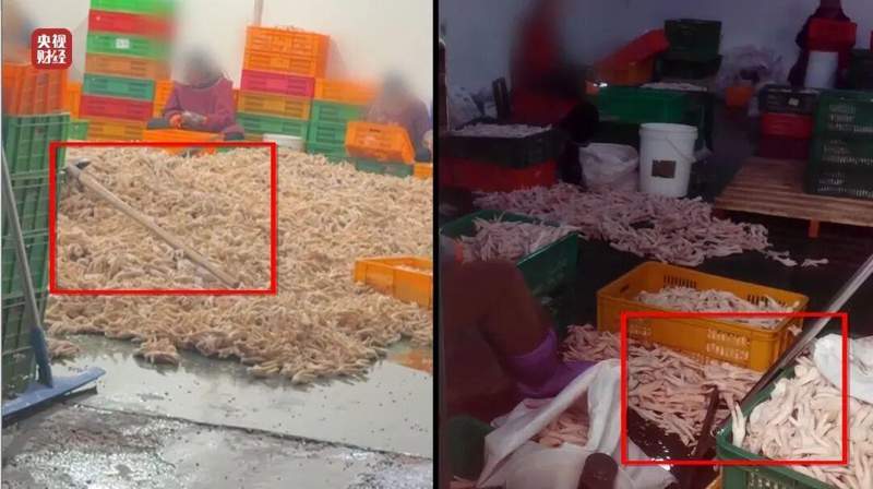 央视3·15晚会直击黑心加工。漂白鸡爪车间脏乱不堪。双氧水违规浸泡危害健康。 新闻