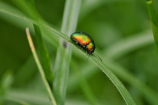政策暖风持续吹拂，科创赛道迎来结构性机遇；私募机构积极研判新质生产力投资路径。