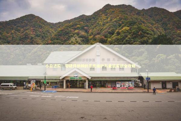 小白进阶：零硬件依赖的系统维护与重装实战全攻略