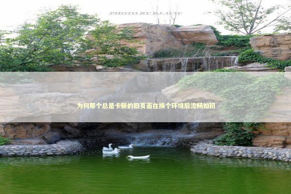 为何那个总是卡顿的旧页面在换个环境后流畅如初